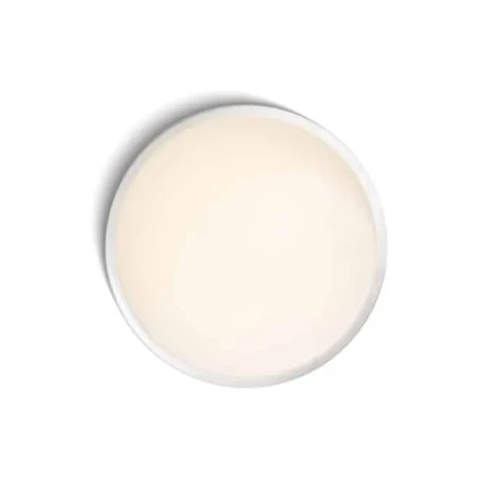 Oprawa sufitowa MELISA R11296 - RedLux
