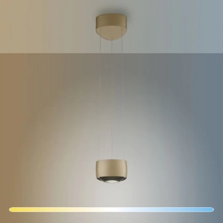 Lampa wisząca na pilota brązowa ściemnialna Q-STRETTO 2657-97 - Paul Neuhaus