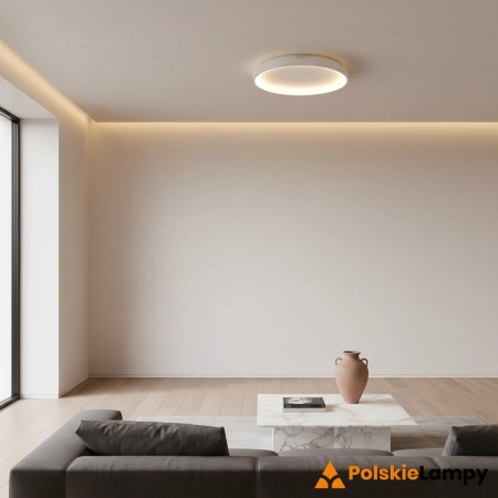 Plafon LED okrągły biały metalowy 48cm CLN-3151-S-WH z serii RADEN - Lampy Italux