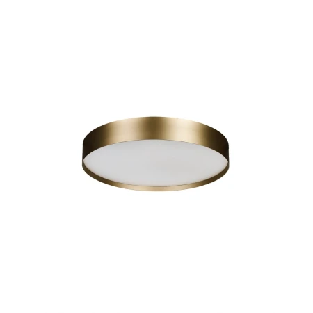 Lampa sufitowa RANT 30 CCT SWITCH DIMM GO AZ6324 - AZzardo