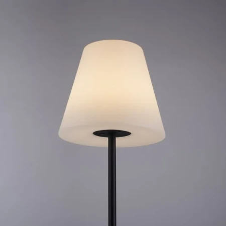 Lampa podłogowa zewnętrzna HOLLY 19826-18 - Paul Neuhaus