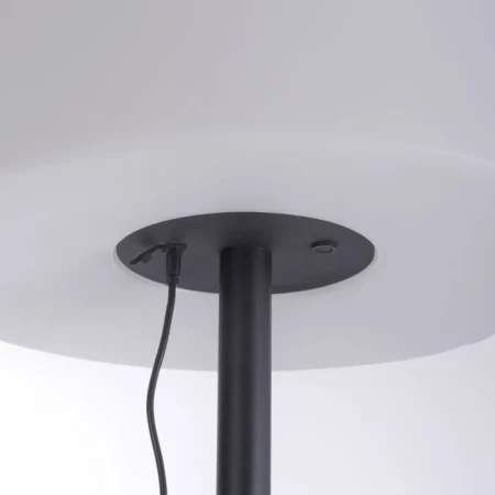 Lampa podłogowa zewnętrzna HOLLY 19827-18 - Paul Neuhaus