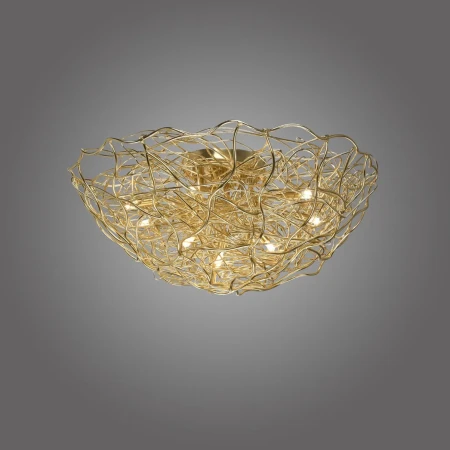 Plafon designerski SAREA 6190-12 - Paul Neuhaus