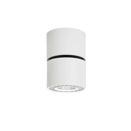 Oprawa sufitowa Herios CLN-97018-12W-L-3K - Italux