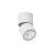 Oprawa sufitowa Herios CLN-97018-12W-L-3K - Italux