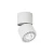 Oprawa sufitowa Herios CLN-97018-12W-L-3K - Italux