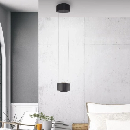 Lampa wisząca na pilota z windą Q-STRETTO 2657-18 - Paul Neuhaus