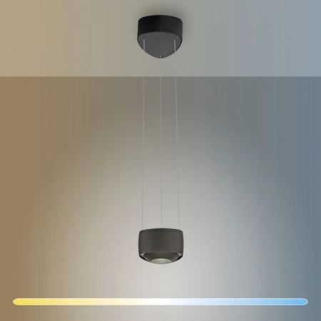 Lampa wisząca na pilota z windą Q-STRETTO 2657-18 - Paul Neuhaus