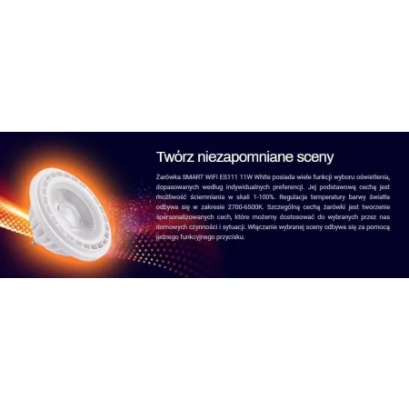 Żarówka smart WiFi ES111 11W CCT WH AZ3206 - AZzardo
