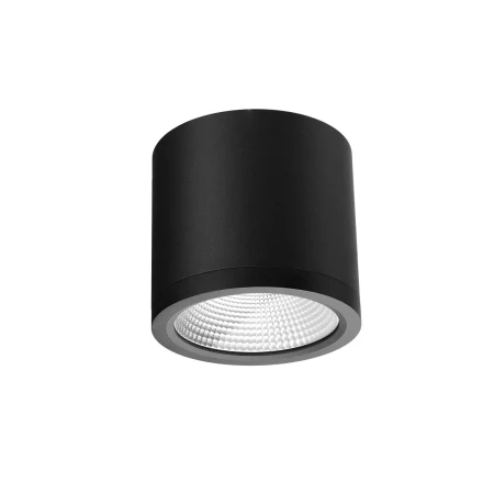 Lampa sufitowa CONYON IP54 25W CCT SWITCH BK AZ6029 - AZzardo