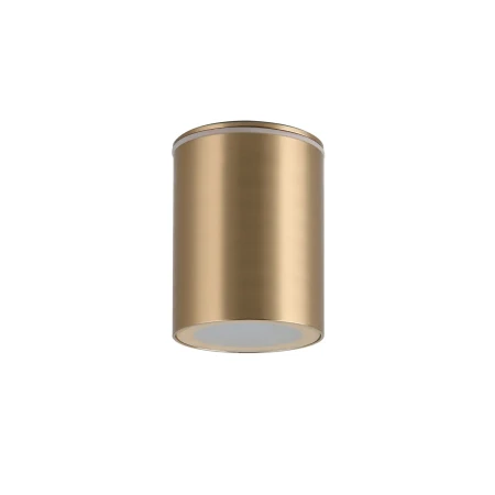 Lampa sufitowa PAPIKO IP65 GO AZ6077 - AZzardo