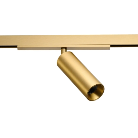 Azzardo Reflektor szynowy magnetyczny złoty LED 8W AZ7173 z serii NIKO TRACK MAGNETIC