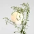 GALLIA WHITE 1095A - Aldex
