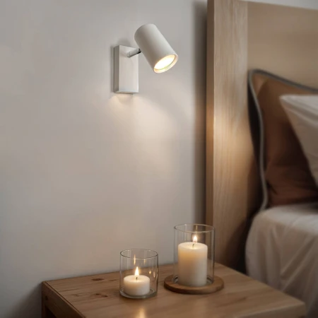 1229 - Decorativi