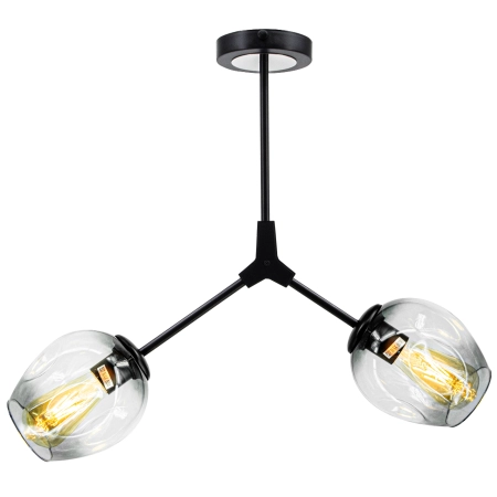 Plafon loftowy czarny metalowy z dwoma szklanymi kloszami 1962/2 z serii BOSTON - Lampy Elem