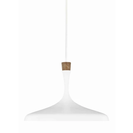 Lampa wisząca DARWIN FE-DARWIN-P - Elstead Lighting