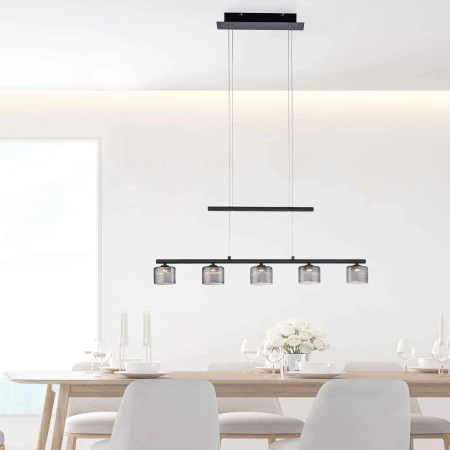 Lampa wisząca nowoczesna HYDRA 2209-18 - Paul Neuhaus