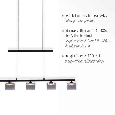 Lampa wisząca nowoczesna HYDRA 2209-18 - Paul Neuhaus