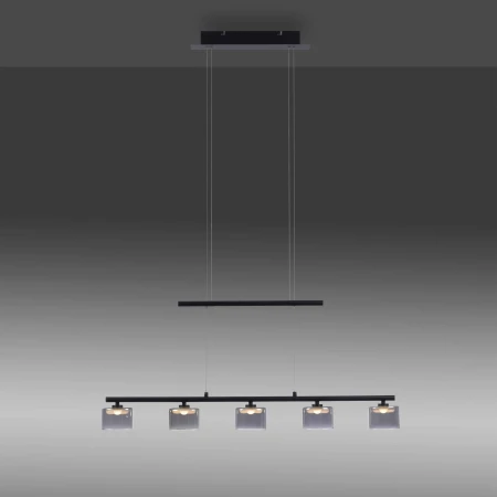 Lampa wisząca nowoczesna HYDRA 2209-18 - Paul Neuhaus