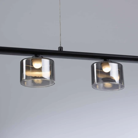Lampa wisząca nowoczesna HYDRA 2209-18 - Paul Neuhaus