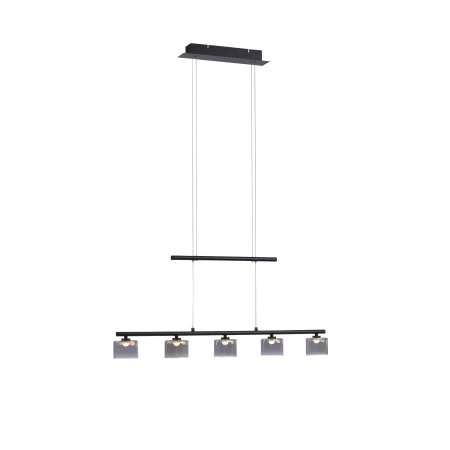 Lampa wisząca nowoczesna HYDRA 2209-18 - Paul Neuhaus
