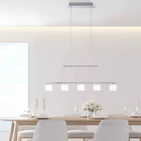 Lampa wisząca nowoczesna HYDRA 2209-55 - Paul Neuhaus