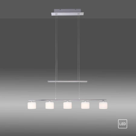 Lampa wisząca nowoczesna HYDRA 2209-55 - Paul Neuhaus