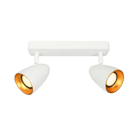 Reflektor sufitowy Tino SPL-36748-2-WH-GD - Italux