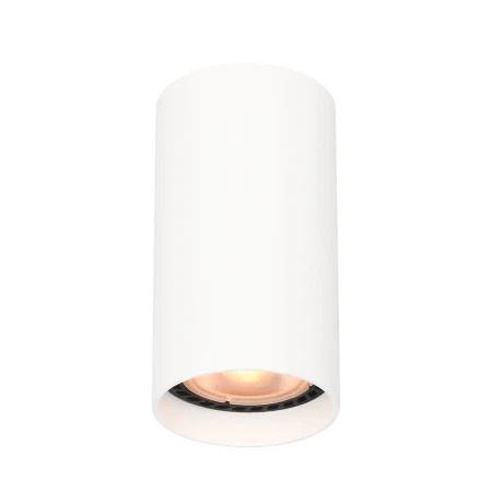 Lampa sufitowa Lopus CLN-48930-S-WH - Italux