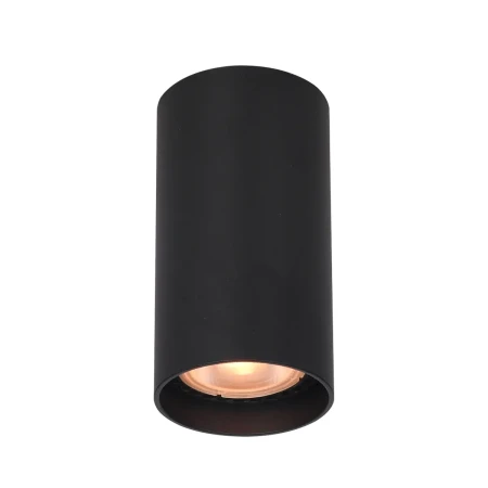 Lampa sufitowa Lopus CLN-48930-S-BK - Italux