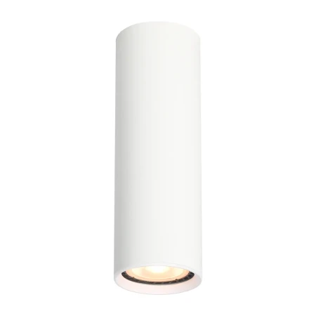 Lampa sufitowa Lopus CLN-48930-M-WH - Italux