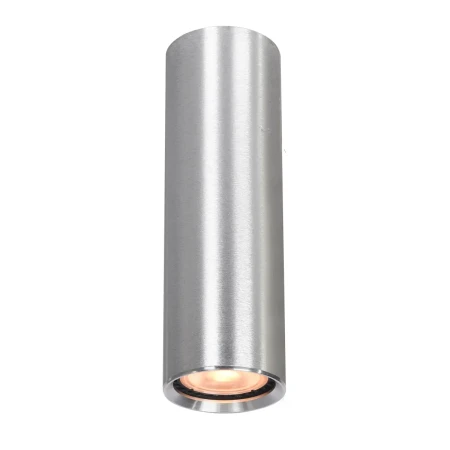 Lampa sufitowa Lopus CLN-48930-M-ALU - Italux