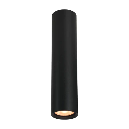 Lampa sufitowa Lopus CLN-48930-L-BK - Italux