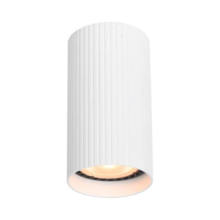 Lampa sufitowa Rilok CLN-83920-S-WH - Italux