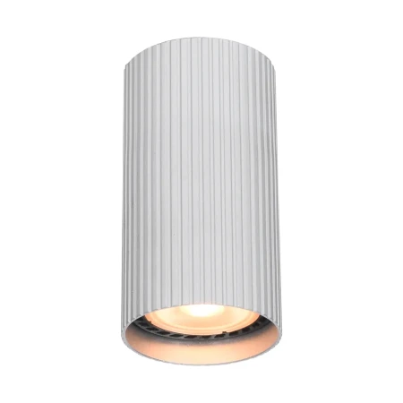 Lampa sufitowa Rilok CLN-83920-S-ALU - Italux