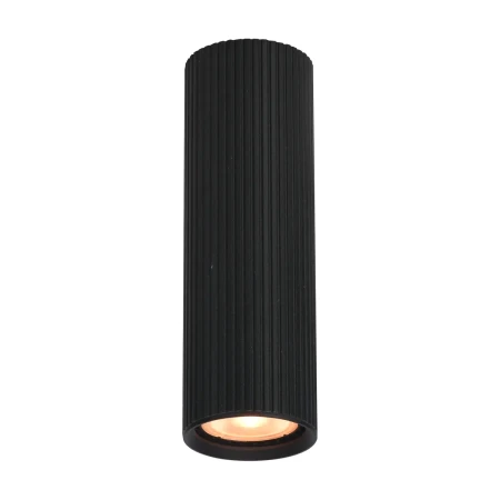 Lampa sufitowa Rilok CLN-83920-M-BK - Italux