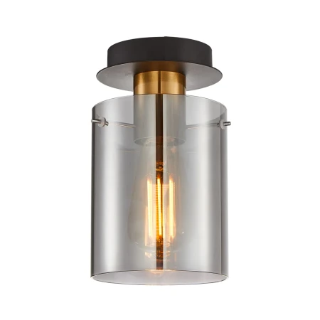 Reflektor sufitowy Sardo SPL-5581-1SC-BRO-SG - Italux