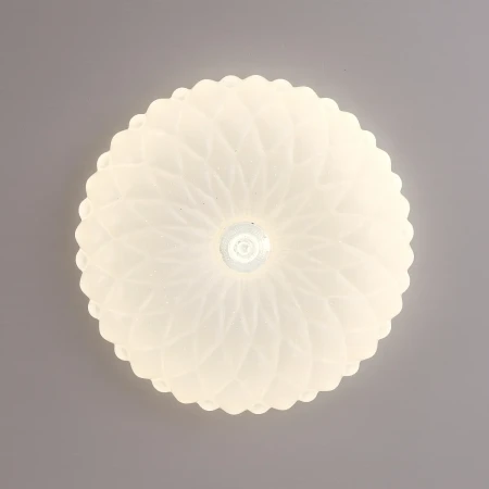 Lampa sufitowa Auris PLF-53749-S-CL - Italux