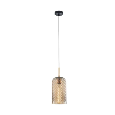 Lampa wisząca Renti PND-25205-1S-BK-AMB - Italux