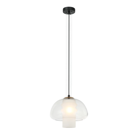 Lampa wisząca szklana czarna 25cm PND-61001B-BK z serii Feder - Lampy Italux