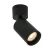 Reflektor sufitowy Nesto SPL-23436-1R-BK - Italux