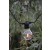 LINK Party Light Chain A60 10L Extra 108903 - Markslojd