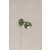 Kinkiet POP 1L Green 108985 - Markslojd