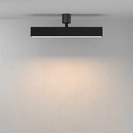 Oprawa oświetleniowa Basis C154CL-13W3K-B - Maytoni