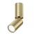 Lampa sufitowa FOCUS S C051CL-01G - Maytoni
