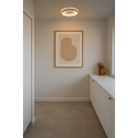 Lampa sufitowa Halyna NO2610136001 - Nordlux