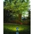 Reflektor ogrodowy SANDE LED 1593B - Norlys