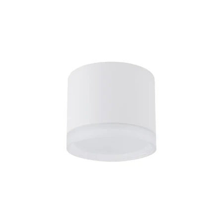 Lampa sufitowa SILBA WH CG 10476 - Nowodvorski