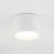 Lampa sufitowa do łazienki MAUN WH CG 10481 - Nowodvorski