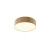 Lampa sufitowa Zon C032CL-24W3K-RD-MG- Maytoni